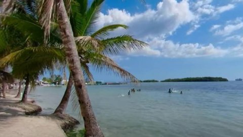 Marriott International Caribe y Latinoamérica lanza la campaña “Vivicación”