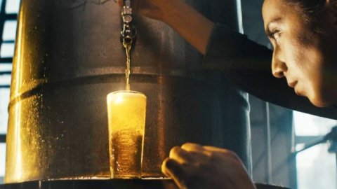 Grey y Corona presentan la segunda etapa de “Hechos para brillar”