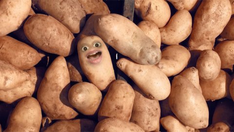“Pa-pa-pa-pa”, lo nuevo de Merci Advertising para Simplot