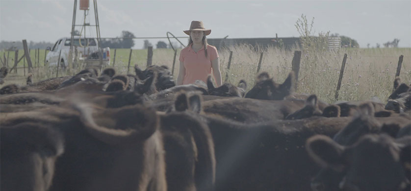 Discovery e YPF Agro presentan: ''Más allá del suelo: Desafíos del campo argentino”