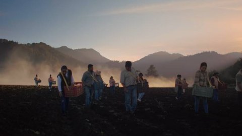 “El cuarto ingrediente”, la campaña de Isla Ciudad de México para Sabritas