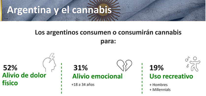 Cannabis: el 52% de la sociedad lo usaría para aliviar dolores físicos