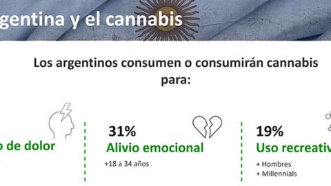 Cannabis: el 52% de la sociedad lo usaría para aliviar dolores físicos