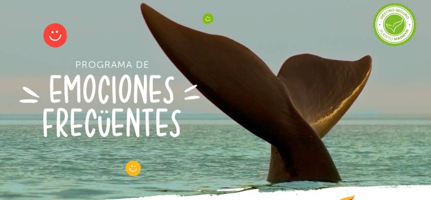 Humo Rojo creó “Emociones fuertes” para la temporada en Puerto Madryn