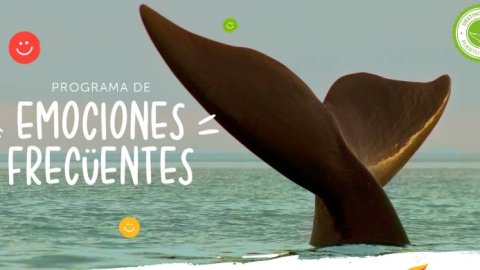 Humo Rojo creó “Emociones fuertes” para la temporada en Puerto Madryn