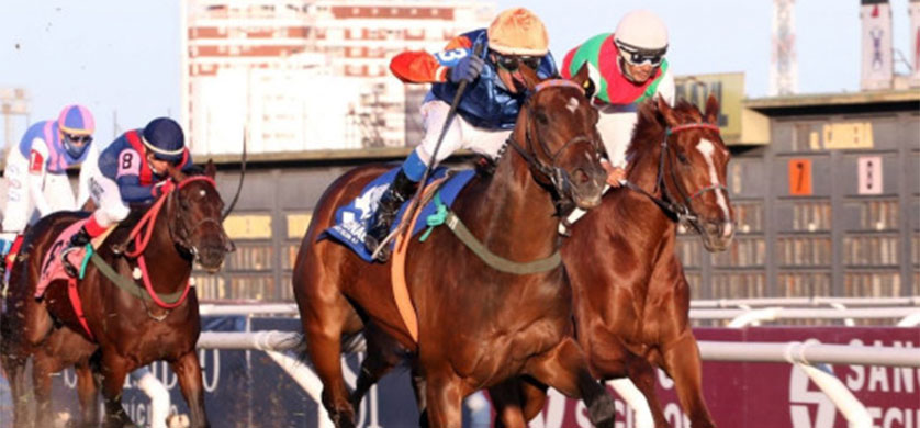 TVP transmite en vivo el El Gran Premio Jockey Club 2021 en San Isidro