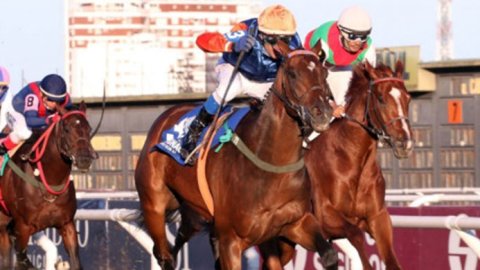 TVP transmite en vivo el El Gran Premio Jockey Club 2021 en San Isidro
