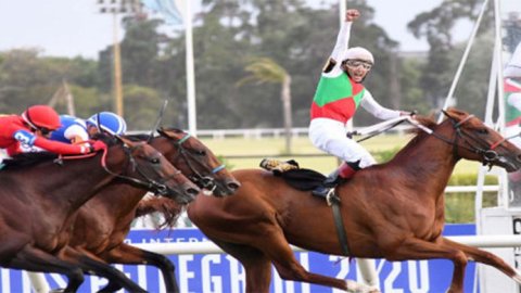 TVP transmite en vivo el Gran Premio Copa de Oro Alfredo Lalor