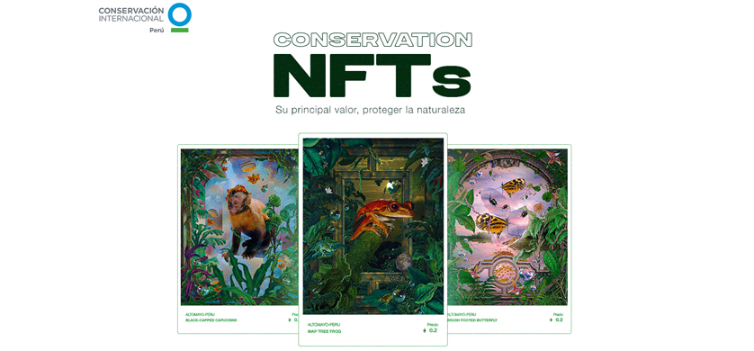 “Conservation NFTS”, una colección de cryptoart peruana