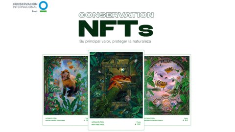 “Conservation NFTS”, una colección de cryptoart peruana