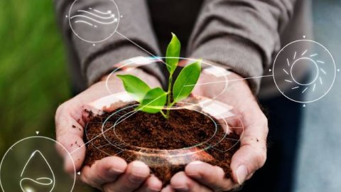 Adsmovil se une a la estrategia para combatir el cambio climático