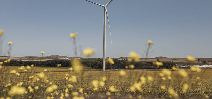 Nueva edición de Infobae Talks con un especial energético