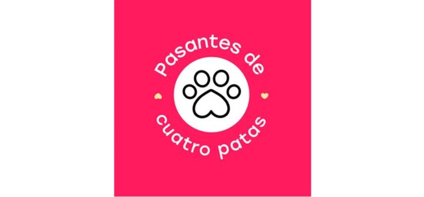 Geometry Colombia es la primera compañía en contratar un pasante de cuatro patas