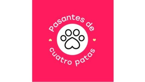 Geometry Colombia es la primera compañía en contratar un pasante de cuatro patas