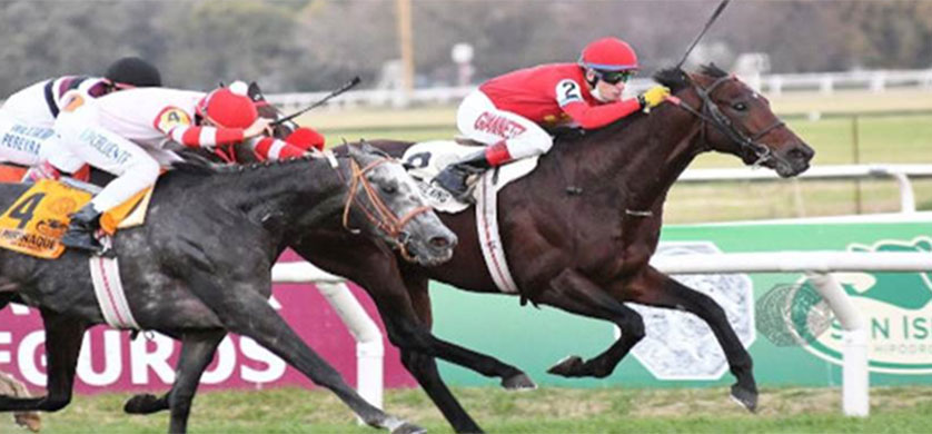 Televisión Pública transmite en vivo el Gran Premio Internacional Carlos Pellegrini 