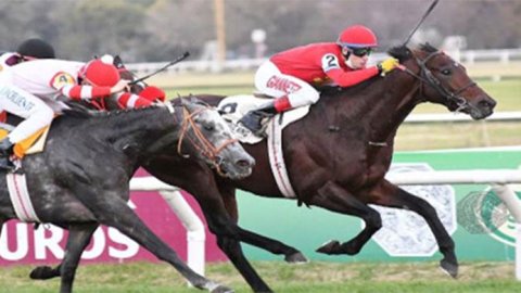 Televisión Pública transmite en vivo el Gran Premio Internacional Carlos Pellegrini 