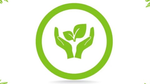 ¿Cómo los aspectos ambientales impactan en el fortalecimiento de la marca?