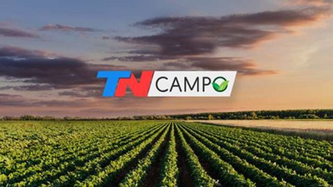 TN Campo, líder entre los productores agropecuarios que toman decisiones