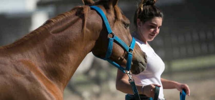 Vuelve ''Nuestros Caballos'' a La Rural con actividades para toda la familia