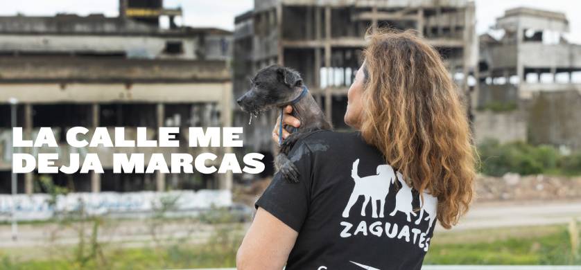 Campaña de Elanco Animal Health y Refugio Zaguates: "La calle me deja marcas"