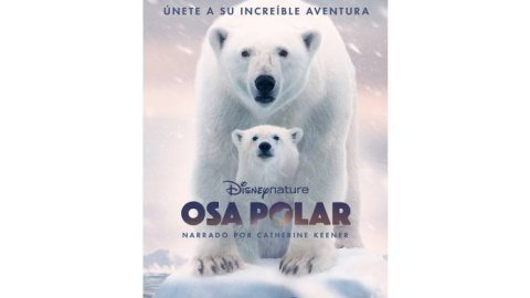 Disney+ y National Geographic celebran el Mes de la Tierra
