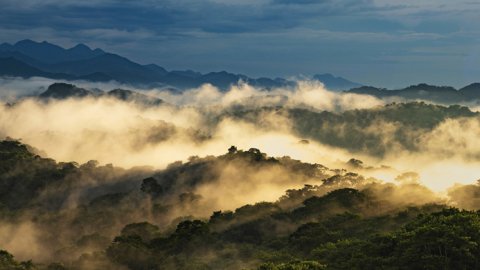 “Disney Planet Possible”, la acción por un futuro más sustentable