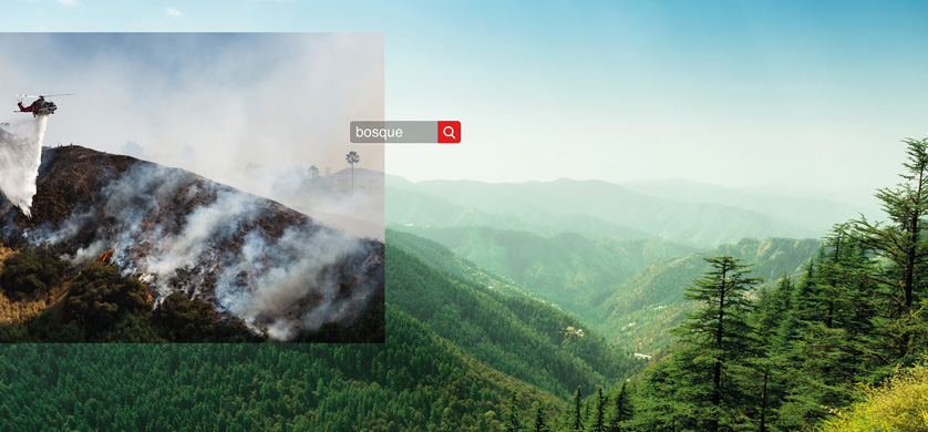 Tribal Argentina presenta TAGS, la nueva campaña de ShutterStock