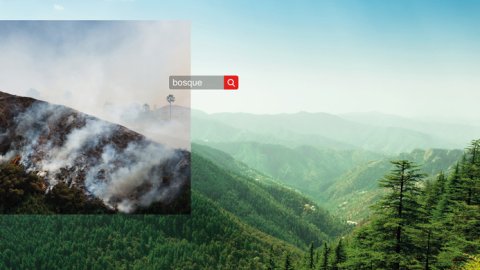 Tribal Argentina presenta TAGS, la nueva campaña de ShutterStock