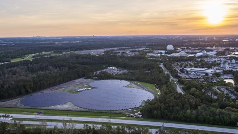 Día del Medioambiente: contenido especial en National Geographic y Disney+