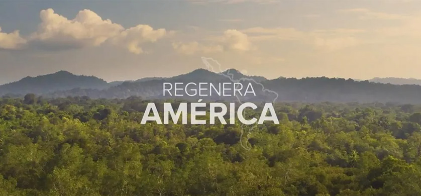 “Regenera América”, el renovado programa de Mercado Libre