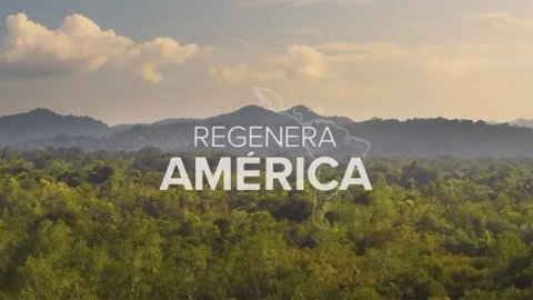 “Regenera América”, el renovado programa de Mercado Libre