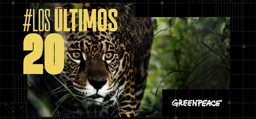 "Los últimos 20", nueva campaña de Isobar para Greenpeace