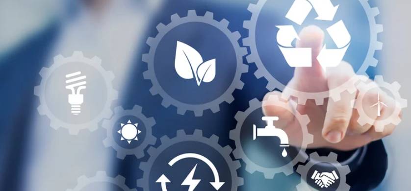Desarrollo sustentable: qué hacen las empresas para cuidar el planeta y crecer junto a la sociedad