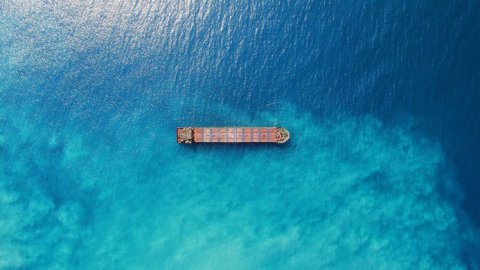 Kuehne+Nagel es el primer proveedor logístico en ofrecer soluciones sostenibles