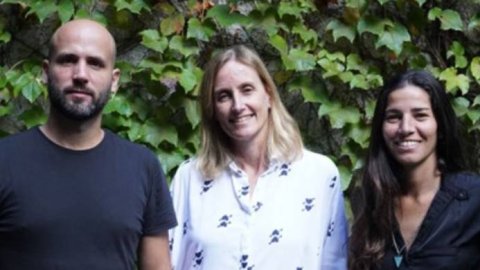Don continúa su desarrollo y consolida su equipo de Groupers de Marca