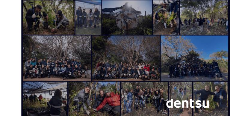 Dentsu junto a Plantarse trabajan en reducir la huella de carbono