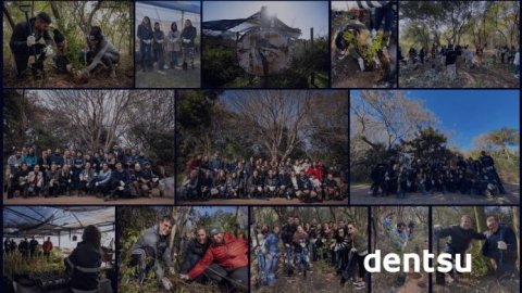 Dentsu junto a Plantarse trabajan en reducir la huella de carbono