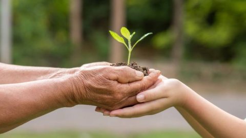 Adsmovil eliminará su huella de carbono para 2023