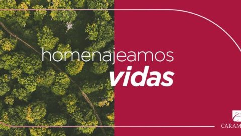 "Árboles", la nueva campaña de Nueva Comunicación Rosario para Caramuto