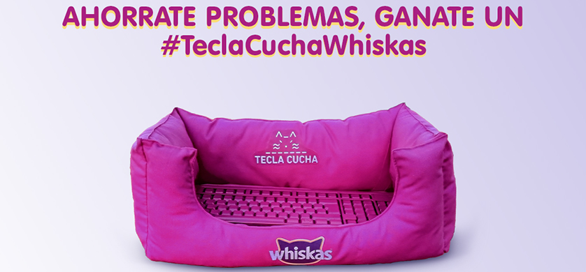 Teclacucha: la evolución de las cuchas para gatos