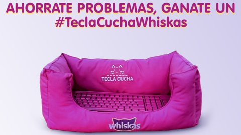 Teclacucha: la evolución de las cuchas para gatos