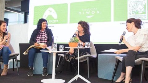 Campaña de Mercado Libre para unir a más de 2000 productores de la biodiversidad