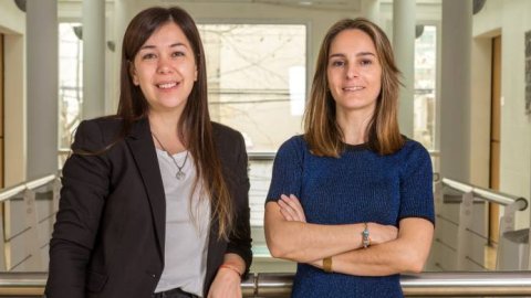 RAPP Argentina anunció promociones en su equipo