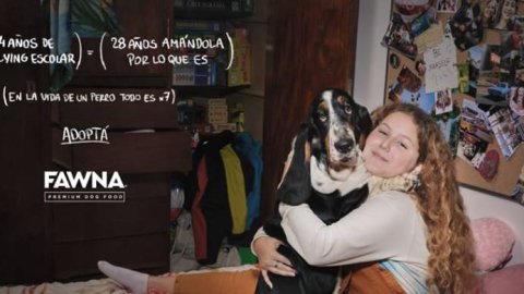 Fue premiada la campaña “Vidas paralelas” de VMLY&R para FAWNA