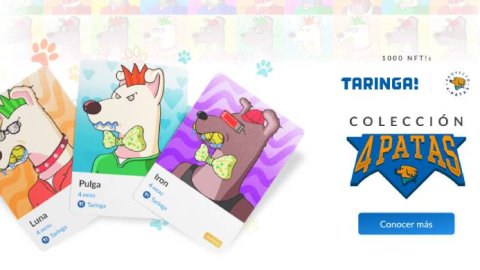 Taringa presenta su primera colección solidaria de NFT!s junto a la ONG Proyecto 4 Patas