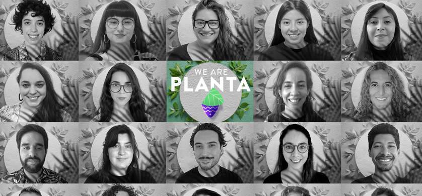 Planta: “La creatividad de triple impacto también gana reconocimientos”