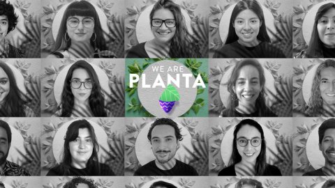 Planta: “La creatividad de triple impacto también gana reconocimientos”
