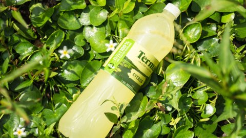 Terma presenta su primera botella 100% reciclada y reciclable