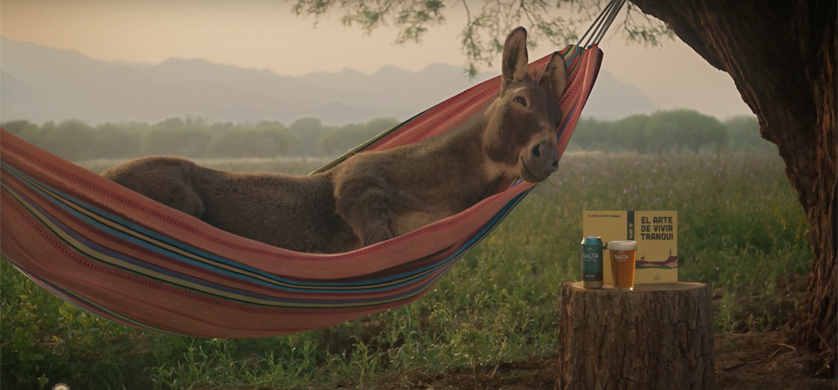 “Mula, alpaca y cactus”, los personajes de los nuevos comerciales de Salta Cautiva