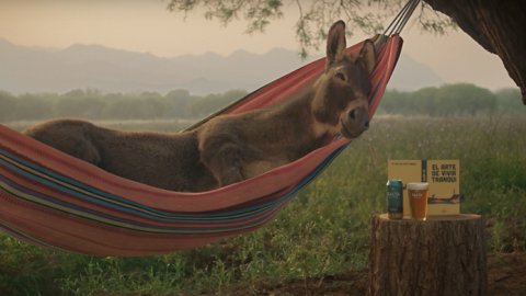 “Mula, alpaca y cactus”, los personajes de los nuevos comerciales de Salta Cautiva